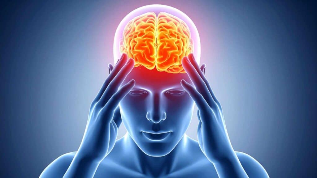 Activité du cerveau pendant le sommeil paradoxal REM avec zones cognitives actives et stimulation neuronale