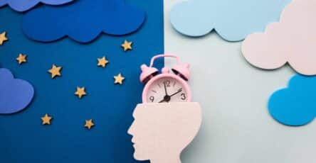 Schéma des cycles du sommeil montrant le sommeil paradoxal REM, le sommeil profond et les phases non-REM chez l’adulte